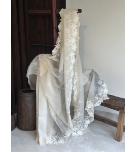 Ivory Florance Silk Organza - Exquisite Saree