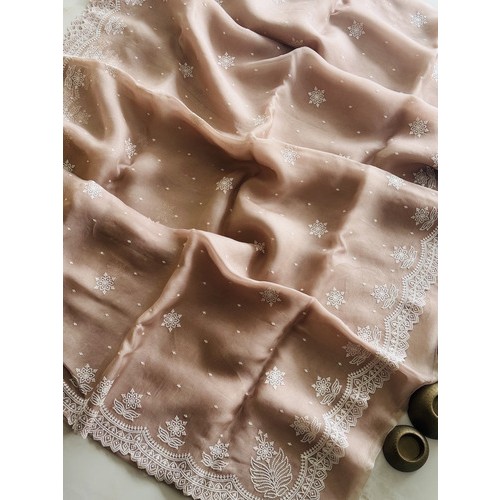 Pearlet Organza - Exquisite Saree